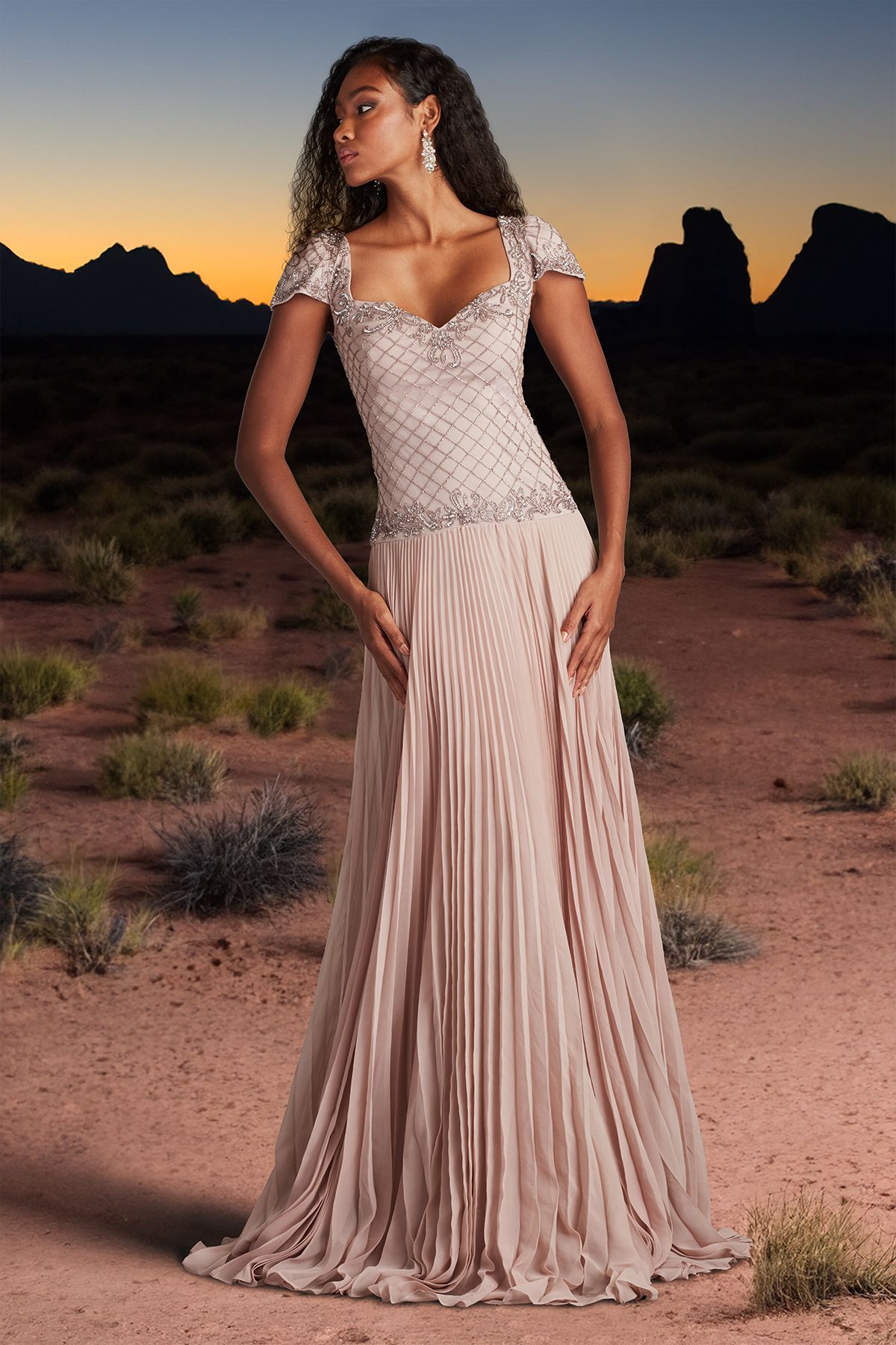 CHAMPAGNE HAND BEADED TULLE AND SUNBURST PLEATED GEORGETTE CAP SLEEVE GOWN