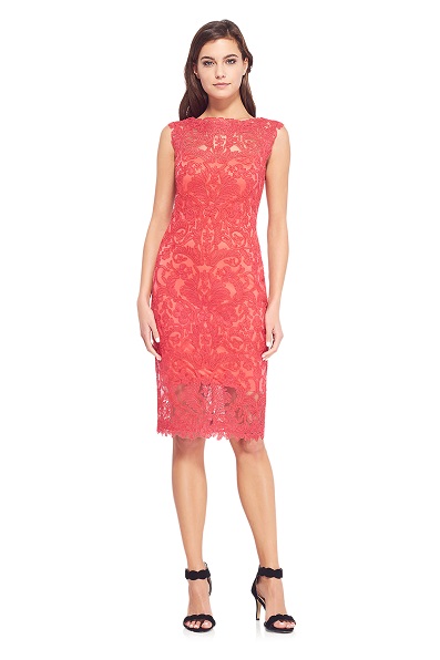 Corded Embroidery on Tulle Boatneck Dress