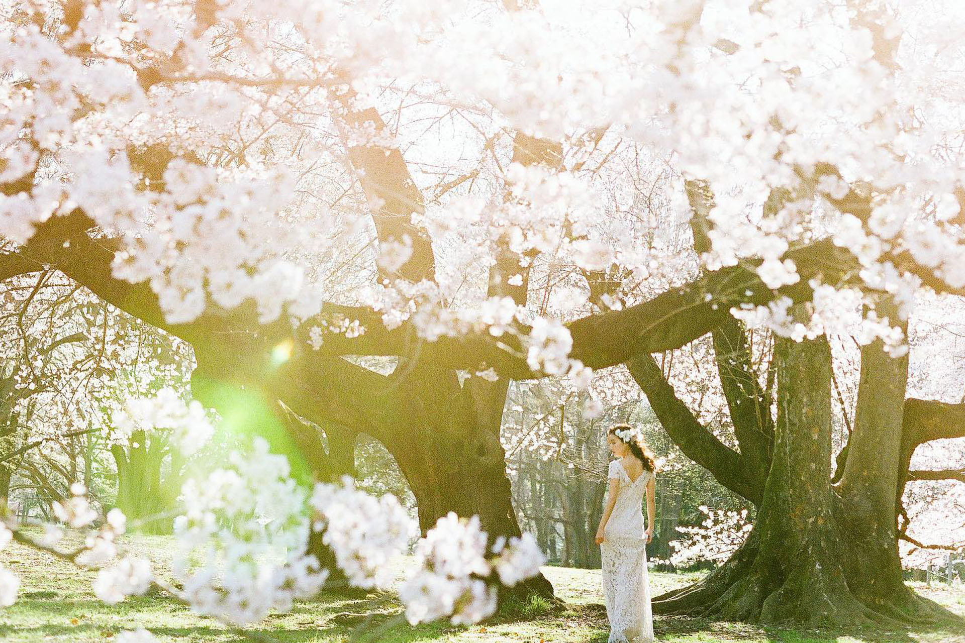 20 Dazzling Garden Wedding Attire Ideas 